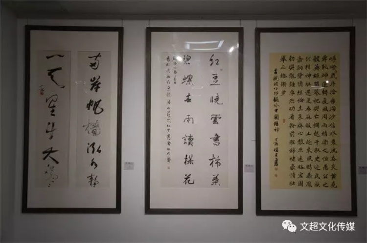 杏盛娱乐官方网站图片