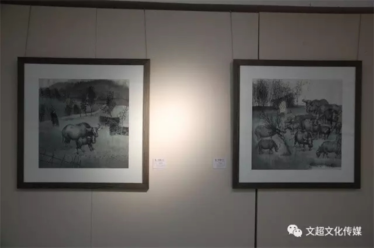 杏盛娱乐官方网站图片