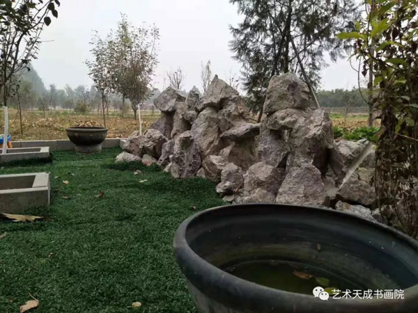 杏盛娱乐官方网站图片