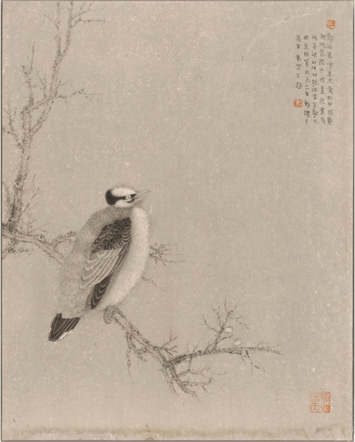 杏盛娱乐官方网站图片