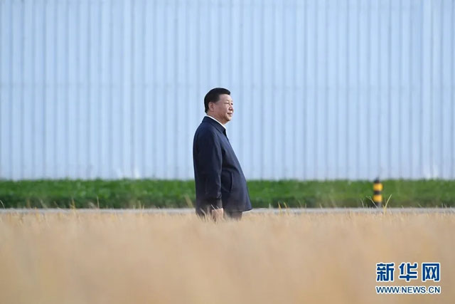 杏盛娱乐官方网站图片
