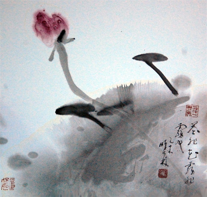 杏盛娱乐官方网站图片