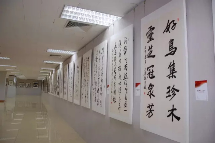杏盛娱乐官方网站图片