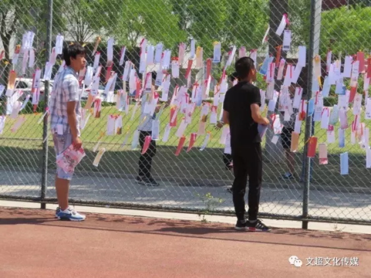 杏盛娱乐官方网站图片