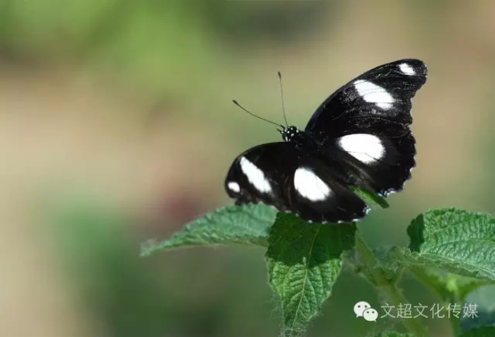 杏盛娱乐官方网站图片