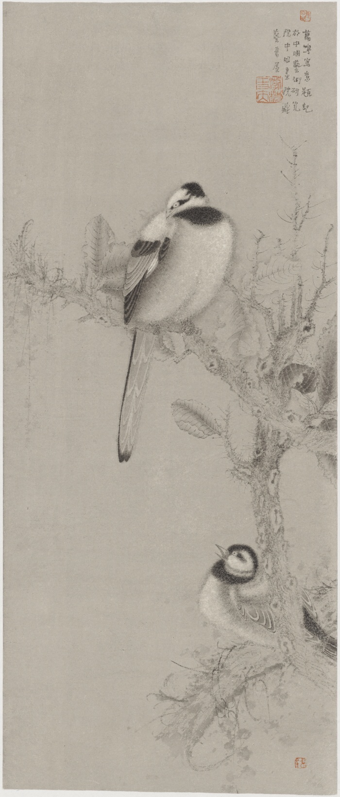 杏盛娱乐官方网站图片