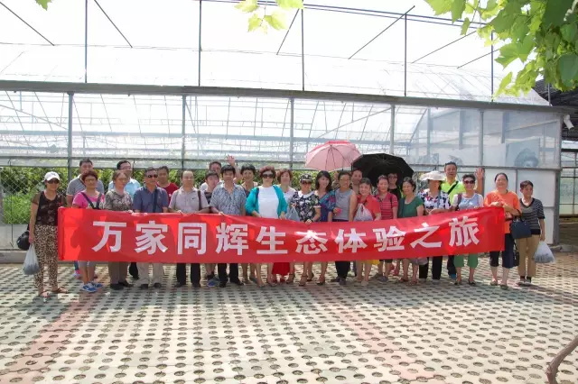 杏盛娱乐官方网站图片