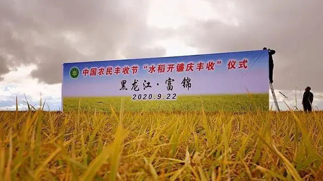 杏盛娱乐官方网站图片
