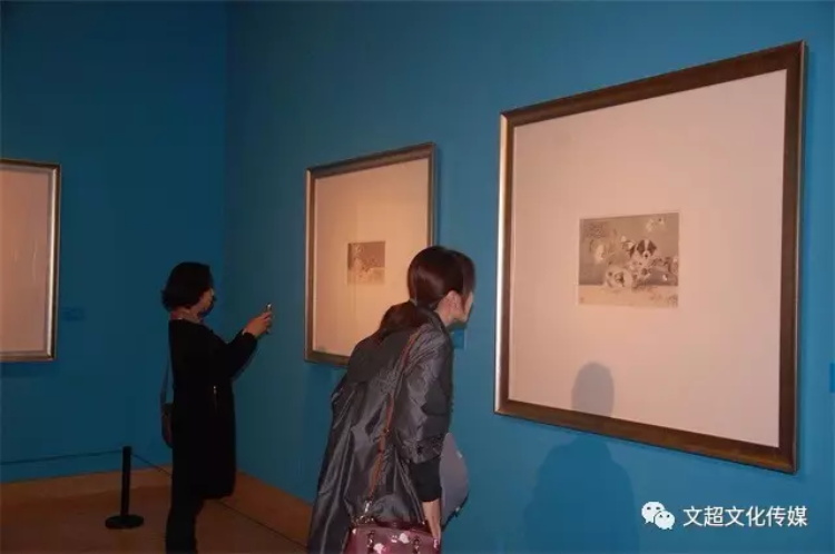 杏盛娱乐官方网站图片