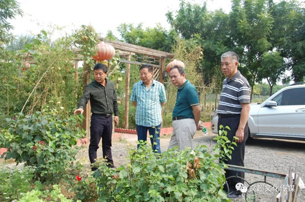 杏盛娱乐官方网站图片