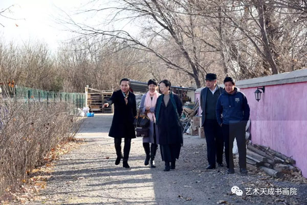 杏盛娱乐官方网站图片