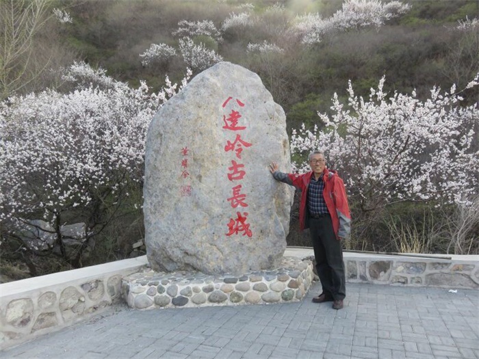 杏盛娱乐官方网站图片