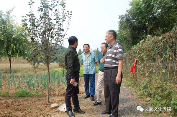 杏盛娱乐官方网站图片