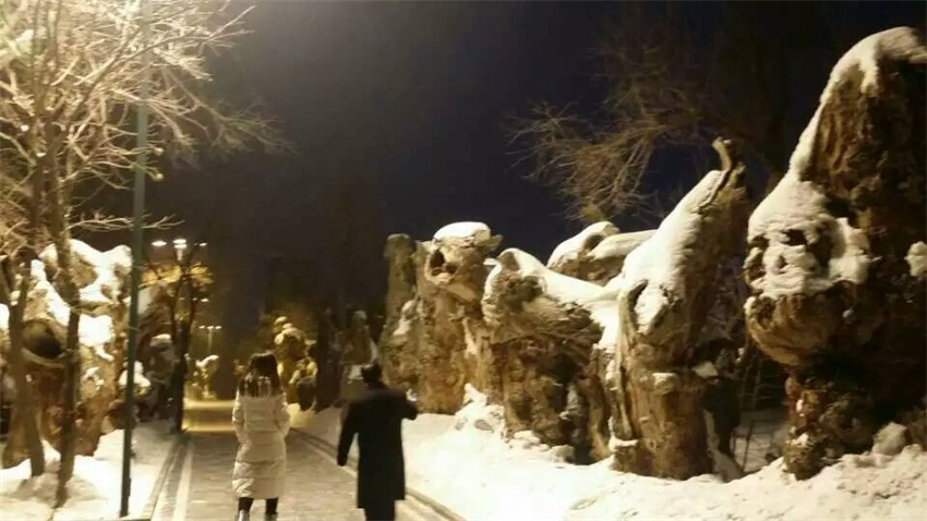 杏盛娱乐官方网站图片