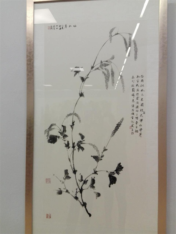 杏盛娱乐官方网站图片